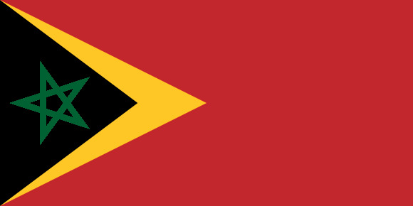 0050_0000-0117_0000-drapeau du Timaroc de l'Est.jpg